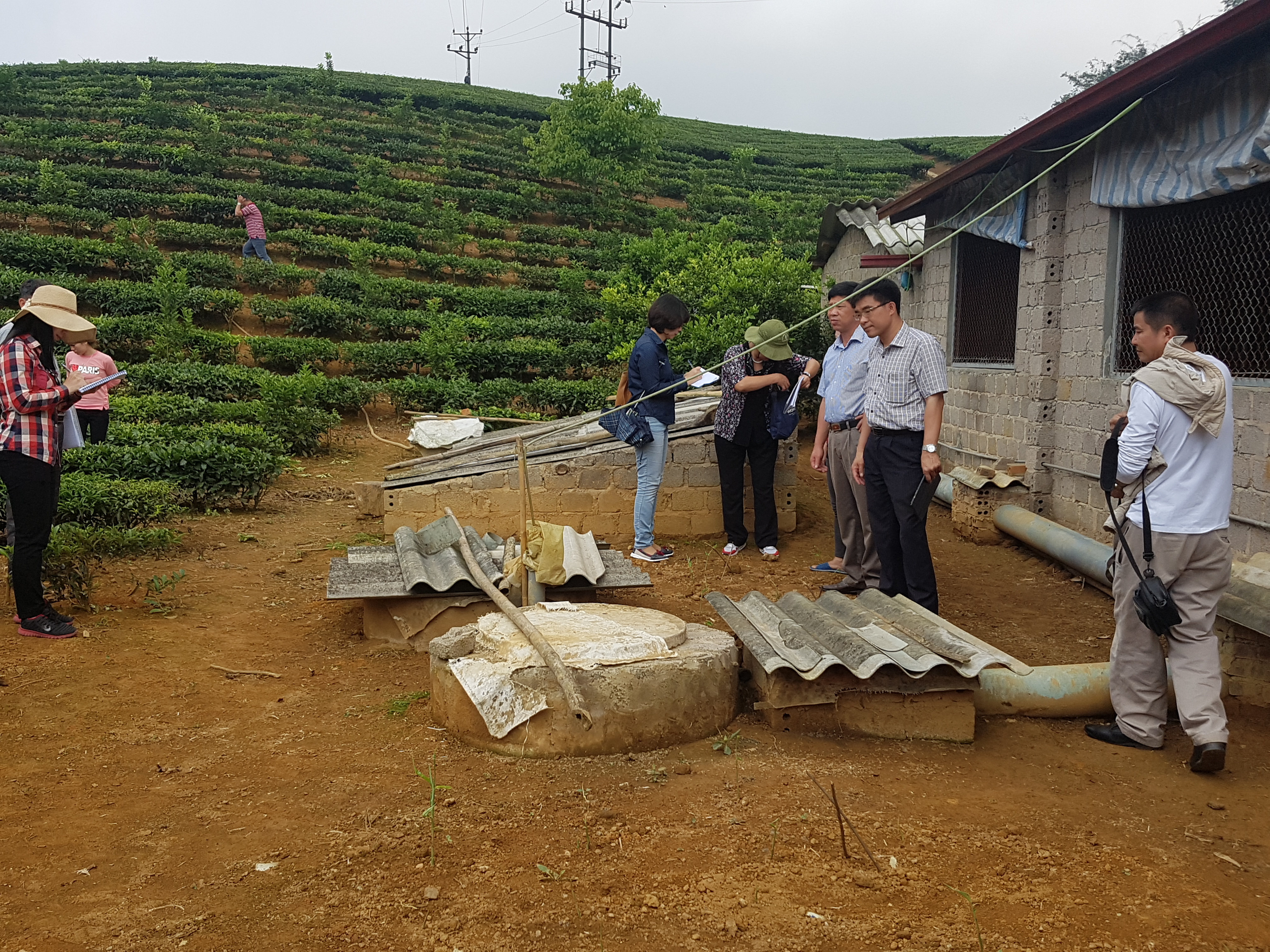 Xử lý nước thải chăn nuôi Cách hiệu quả để bảo vệ môi trường