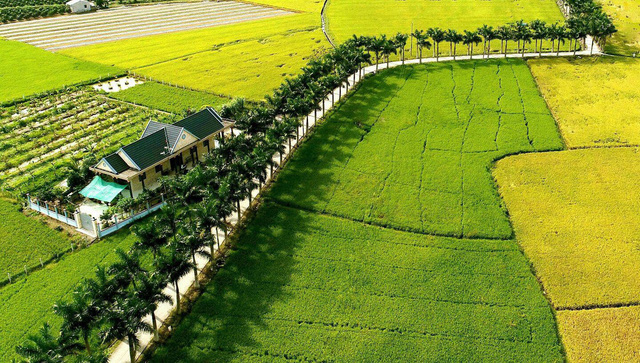 Lạc bước trên con đường xanh ở Long An