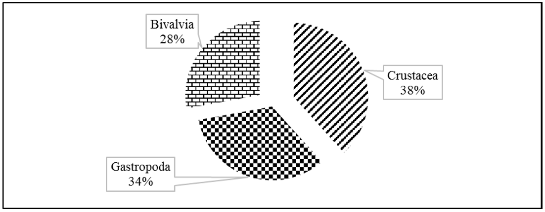 Species composition and distribution characteristics of zoobenthos in ...