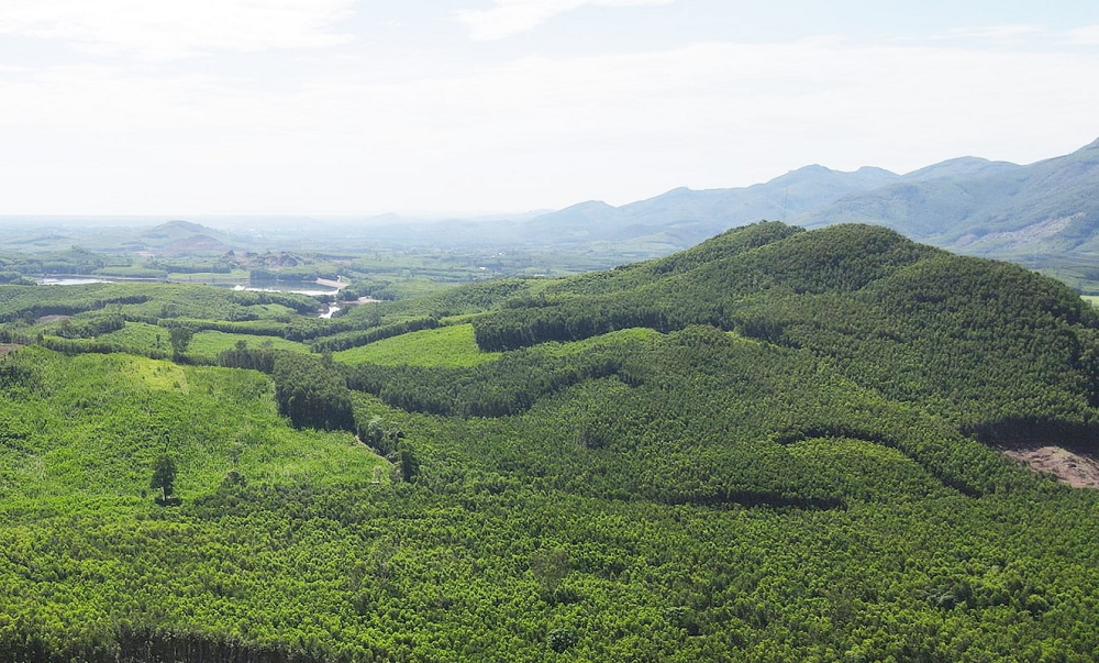 image001-1778591574.png