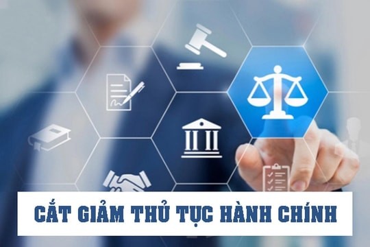 tthc-1779763123.jpg