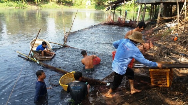 nuoi-ca-dong-thap-1792463561.jpg