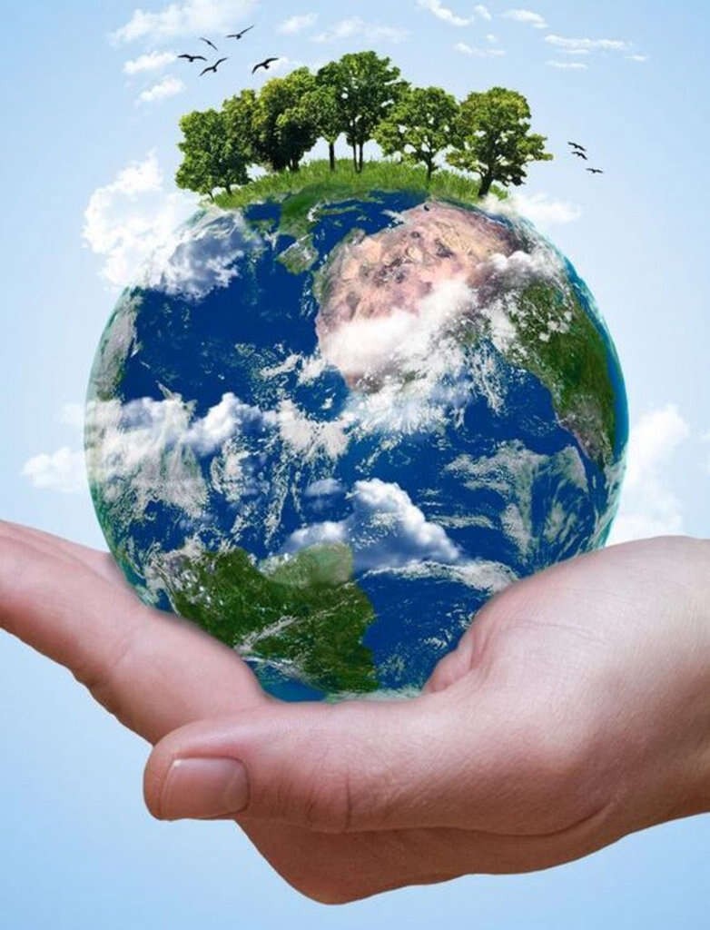 Ngày môi trường Việt Nam