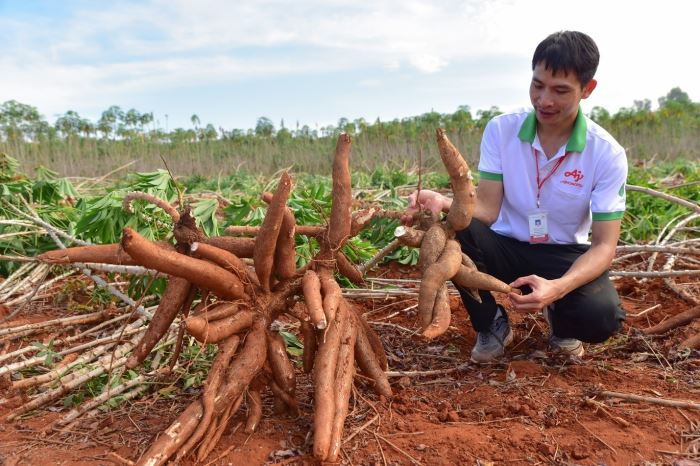  “Khoa học về axit amin”: Nền tảng cho các giải pháp Công nghệ xanh của Tập đoàn Ajinomoto
