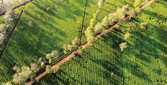 Mối quan hệ giữa phát triển nông nghiệp bền vững, bảo vệ môi trường và thích ứng với biến đổi khí hậu từ thực tiễn của Việt Nam