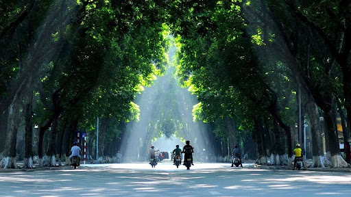 Tăng cường diện tích cây xanh, góp phần cải thiện chất lượng môi trường không khí