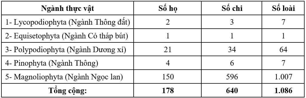 bang-1-1779186532.png