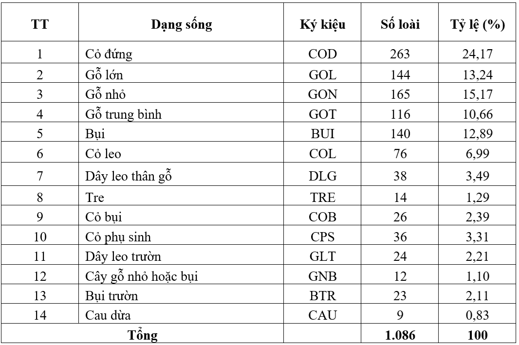 bang-2-1779186584.png