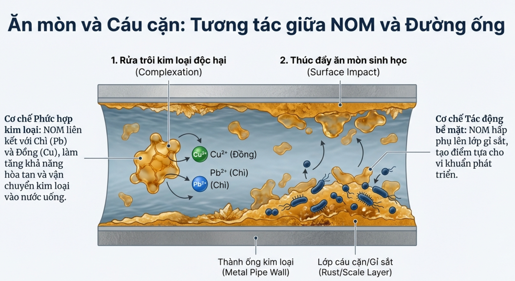 image003-1779255293.png