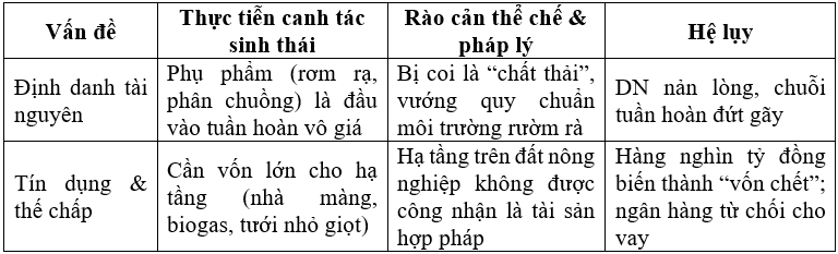 bang-2-1779893696.png