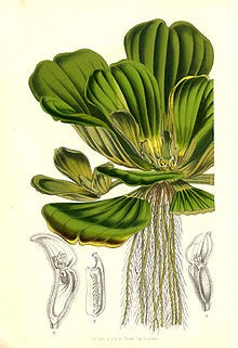 image001-1782904780.jpg