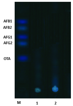 image001-1784865971.png