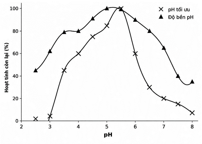 image007-1784867378.png