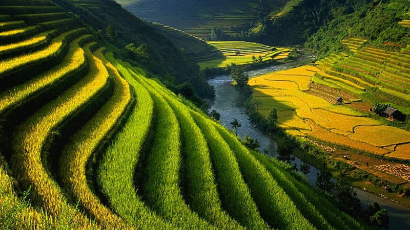 image001-1785733292.png