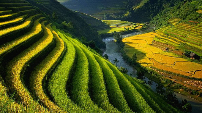 dat-dai-la-tai-nguyen-quoc-gia-vo-cung-quy-gia-1786709293.png