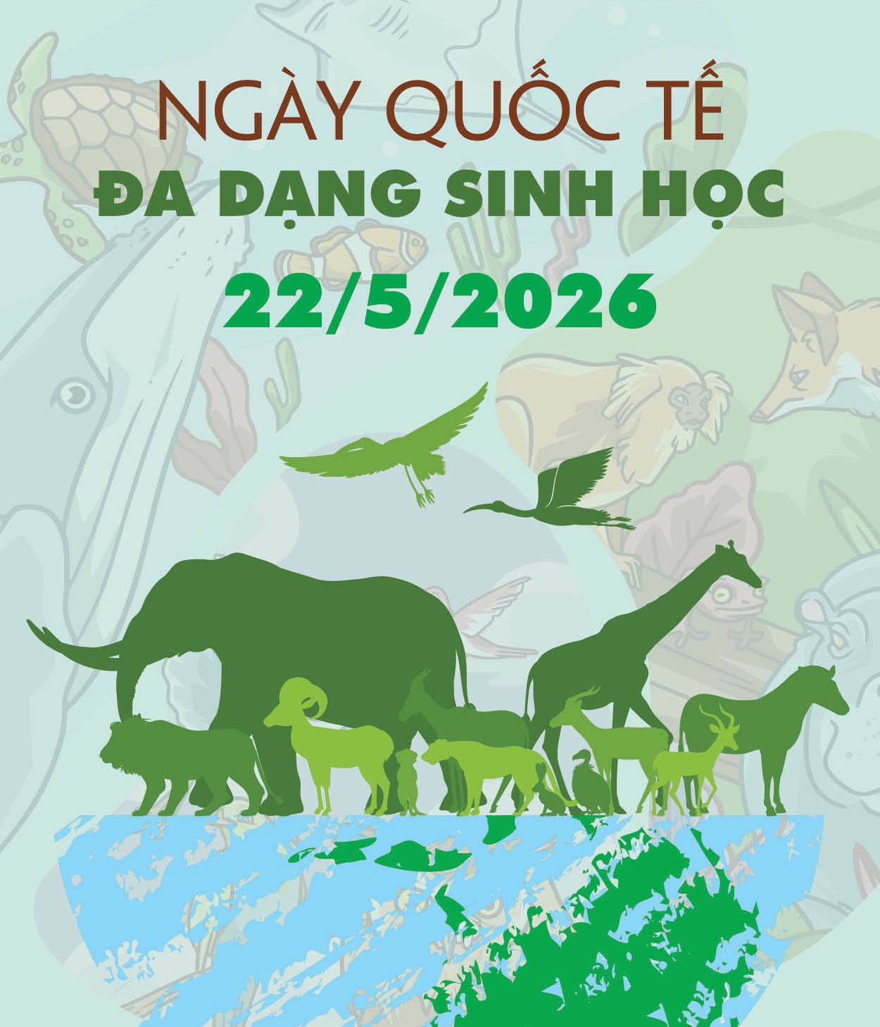 Quảng cáo #40