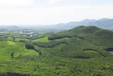 Phê duyệt đề cương điều chỉnh Quy hoạch lâm nghiệp quốc gia thời kỳ 2021 - 2030, tầm nhìn đến năm 2050
