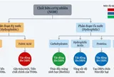 Đánh giá đặc tính của chất hữu cơ tự nhiên trong hệ thống phân phối nước và kỹ thuật đặc trưng hóa