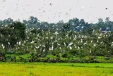 Nâng cao hiệu quả quản lý nhà nước về bảo tồn thiên nhiên và đa dạng sinh học