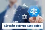 Cắt giảm, phân quyền, đơn giản hóa thủ tục hành chính và điều kiện kinh doanh thuộc phạm vi quản lý của Bộ Nông nghiệp và Môi trường
