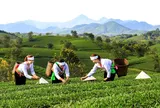 Xây dựng nông thôn mới cấp thôn, bản ở vùng dân tộc thiểu số và miền núi: Vấn đề, chính sách và tiêu chí