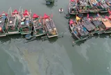 Đừng chỉ bảo vệ biển trước những gì mắt ta nhìn thấy