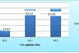 Ảnh hưởng chiều cao cột lọc đến hiệu quả xử lý sắt, mangan trong nước ngầm quy mô hộ gia đình