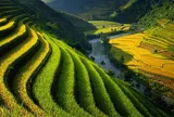Quản trị tài nguyên đất đai - Từ di sản lịch sử, kinh nghiệm toàn cầu đến tầm nhìn đột phá trong Dự thảoLuật Đất đai 2026