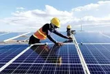 Tổng quan kinh nghiệm quốc tế về phát triển nông nghiệp kết hợp điện mặt trời và bài học cho Việt Nam