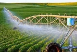 Dự báo công nghệ xanh hướng tới bảo vệ môi trường,  phát triển bền vững: Trường hợp Hà Lan và Đan Mạch