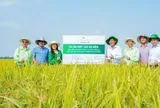 Strengthening policy frameworks for economically viable sustainable agriculture