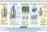 Công nghệ sản xuất thuốc trừ sâu sinh học từ vi khuẩn Bacillus thuringiensis (Bt): Cơ sở khoa học, quy trình và triển vọng ứng dụng