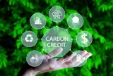 Thị trường Các-bon: Cơ hội và tiềm năng