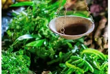 The State of Food Security and Nutrition in the World 2025