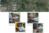 Toward plastic reduction in export logistics: Farmers’ and traders’ acceptance of banana-stem-based liner packaging