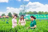 Bước đầu nghiên cứu hiện trạng nhận thức, khó khăn, nhu cầu cần hỗ trợ  của một số cán bộ quản lý hợp tác xã sản xuất nông nghiệp hữu cơ  một số tỉnh miền Bắc