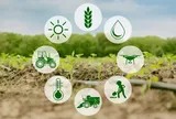 Nghệ An ban hành Đề án phát triển cây trồng, vật nuôi chủ lực gắn với chế biến, bảo quản liên kết chuỗi giá trị sản phẩm