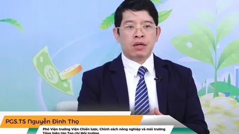 Vai trò của việc kết hợp giữa tài chính xanh và số hóa đối với Việt Nam giai đoạn tới