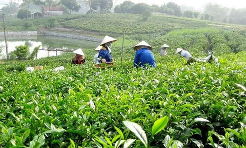 Đại hội Đảng Cộng sản Việt Nam lần thứ XIV: Khai sáng và soi đường cho công cuộc tam nông