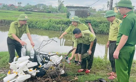 Thực trạng và giải pháp bảo vệ đa dạng sinh học theo chức năng của lực lượng công an tỉnh Nghệ An