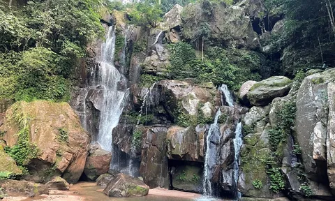 Hiện trạng hệ sinh thái, tài nguyên rừng Khu dự trữ thiên nhiên Mường Nhé, tỉnh Điện Biên