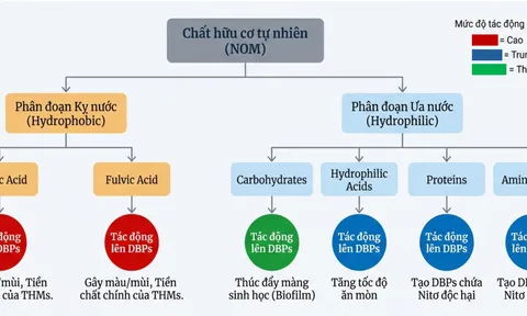 Đánh giá đặc tính của chất hữu cơ tự nhiên trong hệ thống phân phối nước và kỹ thuật đặc trưng hóa