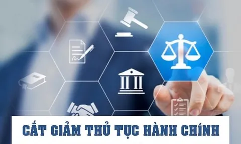Cắt giảm, phân quyền, đơn giản hóa thủ tục hành chính và điều kiện kinh doanh thuộc phạm vi quản lý của Bộ Nông nghiệp và Môi trường
