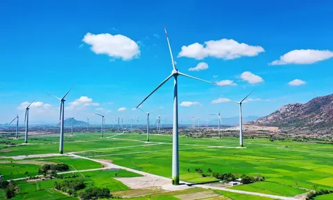 Chính sách, pháp luật Việt Nam về năng lượng tái tạo nhằm thực thi  cam kết net zero 2050: Thực trạng và một số đề xuất