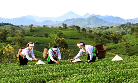 Xây dựng nông thôn mới cấp thôn, bản ở vùng dân tộc thiểu số và miền núi: Vấn đề, chính sách và tiêu chí