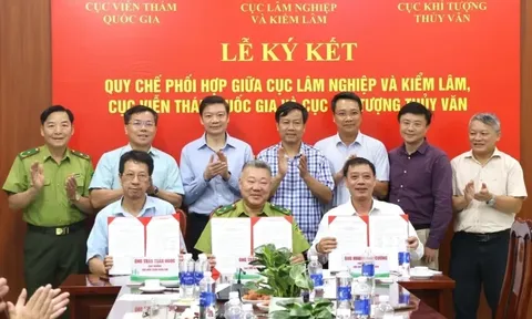 Tăng cường sự phối hợp giữa Cục Lâm nghiệp và Kiểm lâm, Cục Viễn thám quốc gia và Cục Khí tượng Thủy văn