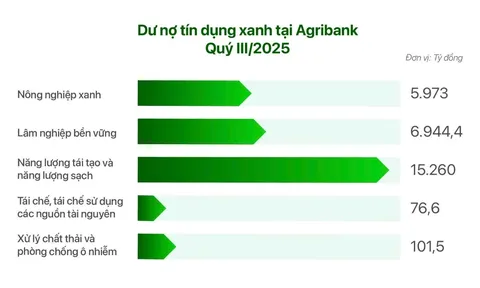 Đề xuất chiến lược ESG cho Agribank giai đoạn 2026 - 2030 và tầm nhìn đến năm 2050