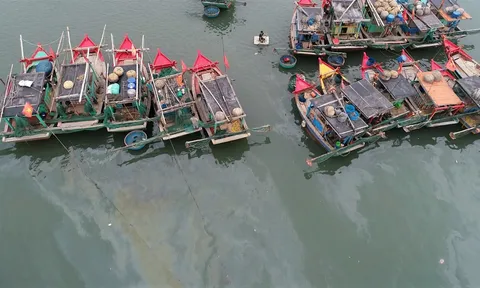 Đừng chỉ bảo vệ biển trước những gì mắt ta nhìn thấy