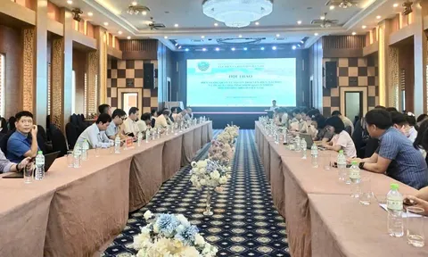 Tăng cường công tác quản lý nguồn thải ven biển, hải đảo nhằm kiểm soát ô nhiễm môi trường biển ở Việt Nam
