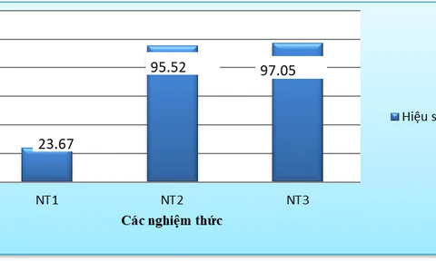 Ảnh hưởng chiều cao cột lọc đến hiệu quả xử lý sắt, mangan trong nước ngầm quy mô hộ gia đình